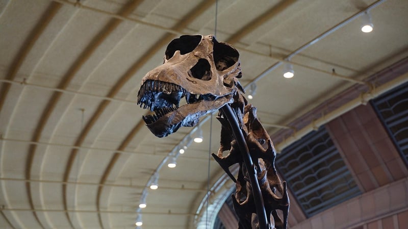 Prehistoric Eras